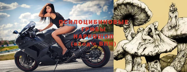 крисы Медвежьегорск