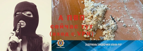 крисы Медвежьегорск