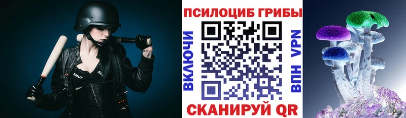 Галлюциногенные грибы Cubensis  Пикалёво 